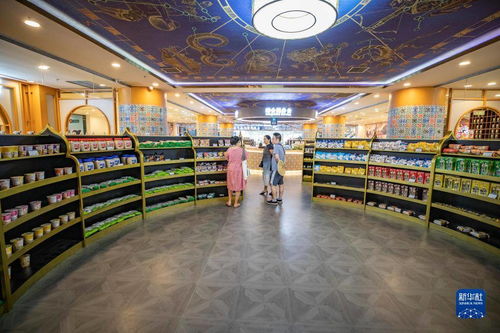 重慶絲路花街 構(gòu)筑‘一帶一路’消費(fèi)新體驗(yàn)商品交易中心